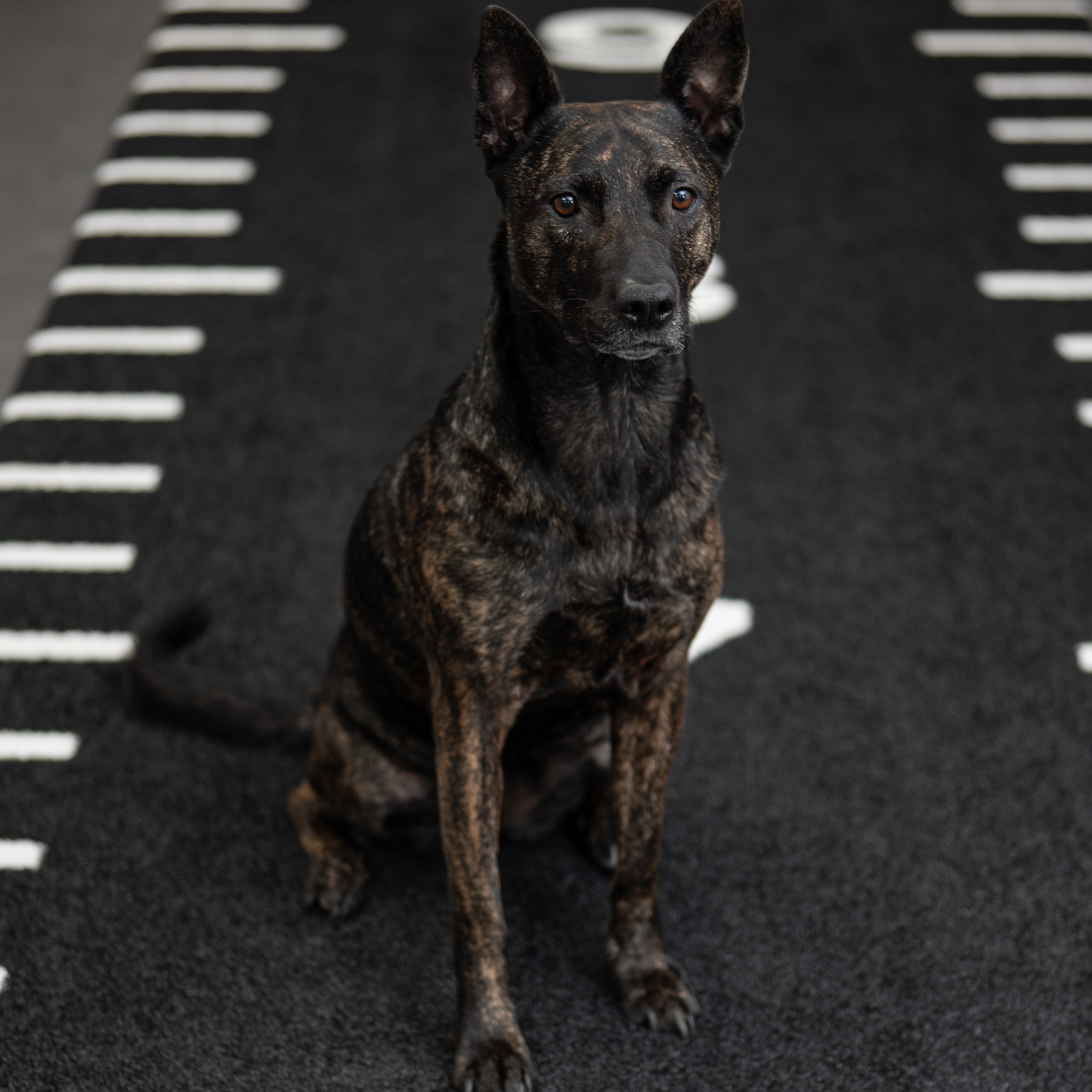 Wanja – Die Motivationskanone und Feel-Good-Begleiterin im Absolut You Personal Training Studio